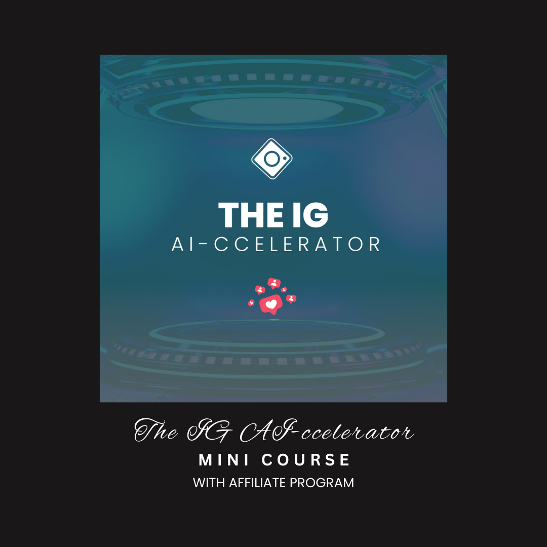 THE AI-CCELERATOR: Mini Course